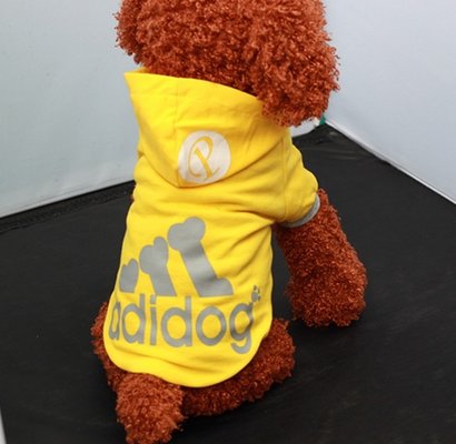100% cotton poodle Small Dog Hooded Sweatshirts yellow color XS , S - 9XL