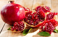 high quality Punica granatum, pomegranate extract 20%--40% punicalagin for herb pharm
