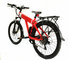 Colorful 350W Electric City Bike With Panasonic Lithium Battery supplier