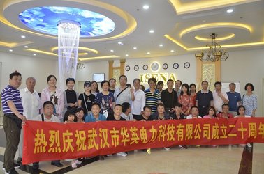 Wuhan Huaying Electric Power Tech & Science Co.,ltd