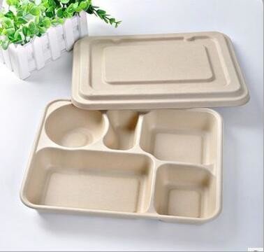 China Biodegradable Straw pulp 5 compartments food container paper food trays supplier