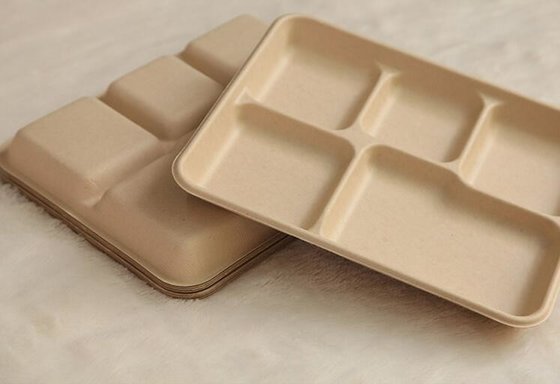 5 compartments Biodegradable Straw pulp food containers paper food trays supplier