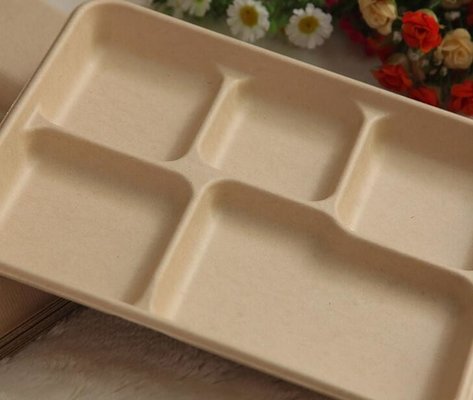 5 compartments Biodegradable Straw pulp food containers paper food trays supplier