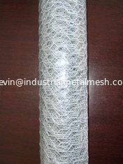 China Shipping 3/8&quot; Chicken Wire Fencing Galvanized and PVC Coated supplier