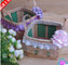High Quality Cheap PP Rattan Woven Flower Holder supplier