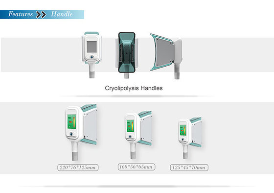 Mini ce approved cryolipolysis fat freeze body slimming beauy machine