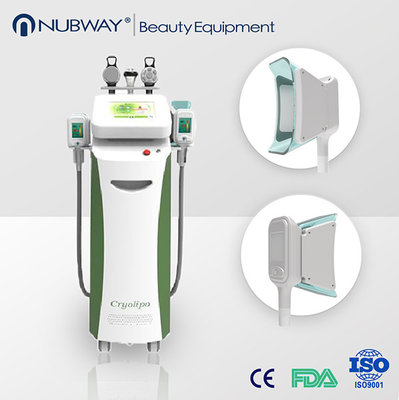 2017 Lastest Professional Cryolipolysis fat freeze Machine for Weight Loss