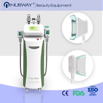 2017 Newest Body Slimming Machine Hot Selling Cryolipolysis fat freezing equipment