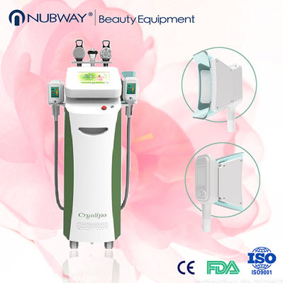 professional ! Freeze Cryolipolysis Anti Cellulite Fat Cavitation Rf Multifunction machine