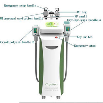 2016 New technology beauty equipment body sculpting cryotherapy slimming machine