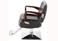 Luxury All Purpose Salon Chair Wooden Handret With Shining Steel Materials supplier