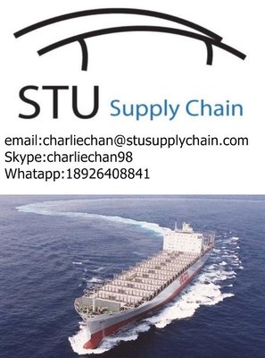 China Cheap Fast and Safety Ocean shipping Service to SALVADOR , Brazil supplier