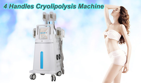 China Vacuum Cryolipolysis Slimming Machine / Four Handles Coolsculpting Equipment supplier
