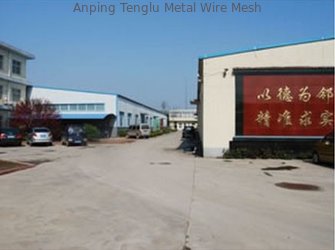 Anping Tenglu Metal Wire Mesh Co.,LTD