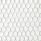 Chicken Wire Mesh|Florist Hex Netting 13~50mm Mesh Size for Building or Poultry