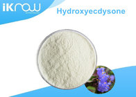 CAS 5289-74-7 Powdered Natural Herbal Extract Hydroxyecdysone Powder