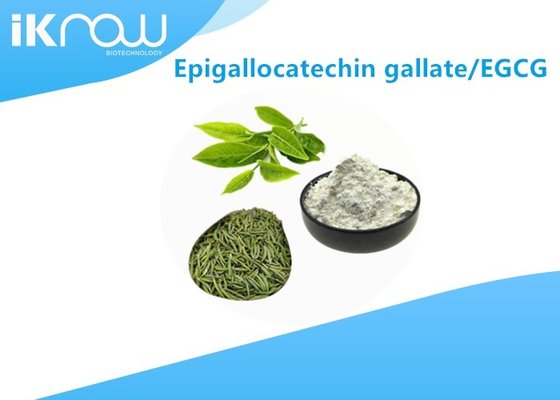 Epigallocatechin Gallate Green Tea Polyphenols EGCG Powder Cas 989-51-5