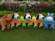 Coin operated animal baby rides motorized plush riding animals supplier