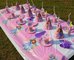 Princess Sofia the first theme Kids Birthday Party Decoration Set Party Supplies Baby Birthday Pack event party supplies supplier