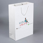 premium white clothing paper shopping bags with brand logo printed for promotion