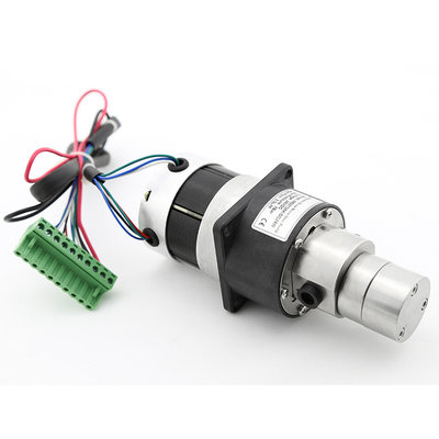 China High Pressure High Temperature DC Brushless Motor Controller Build-in Without Leakage Hot Oil Pump Gear Pump supplier