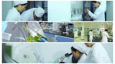 Xi'an Yinherb Bio-Tech Co., Ltd