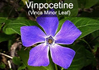 vinpocetine 99% periwinkle extract