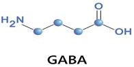 GABA - gamma-aminobutyric acid