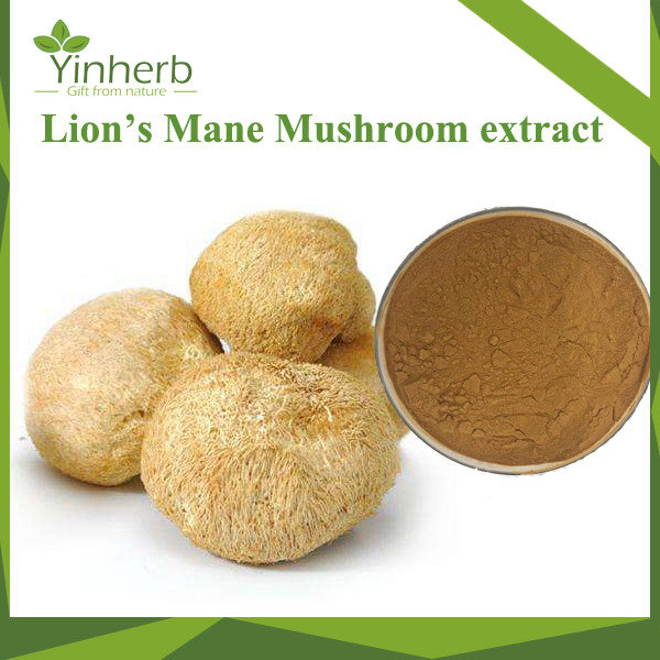 Lion's Mane Mushroom extract